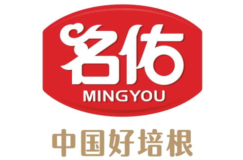 名佑 福建 食品